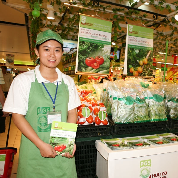 Assisting the development of an organic vegetable value chain