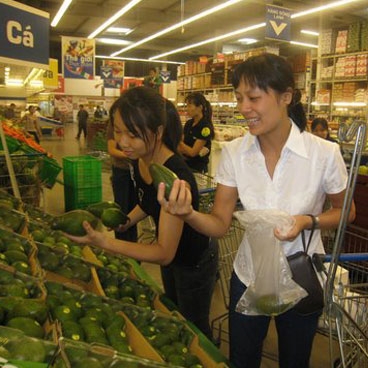 Value Chain Development of Avocado in Vietnam