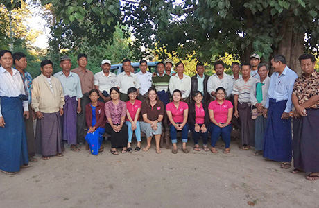GAP Sein Ta Lone Mango Value Chain Study in Myanmar