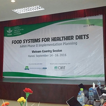 Healthy food systems for healthier diets