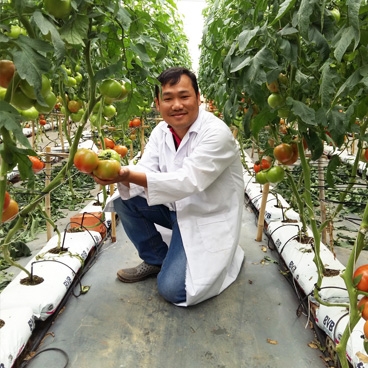 Three more milestones achieved in modern greenhouse vegetable production sector in Vietnam