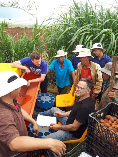 Vitalising the Vietnamese potato sector: the results of the 4th project year