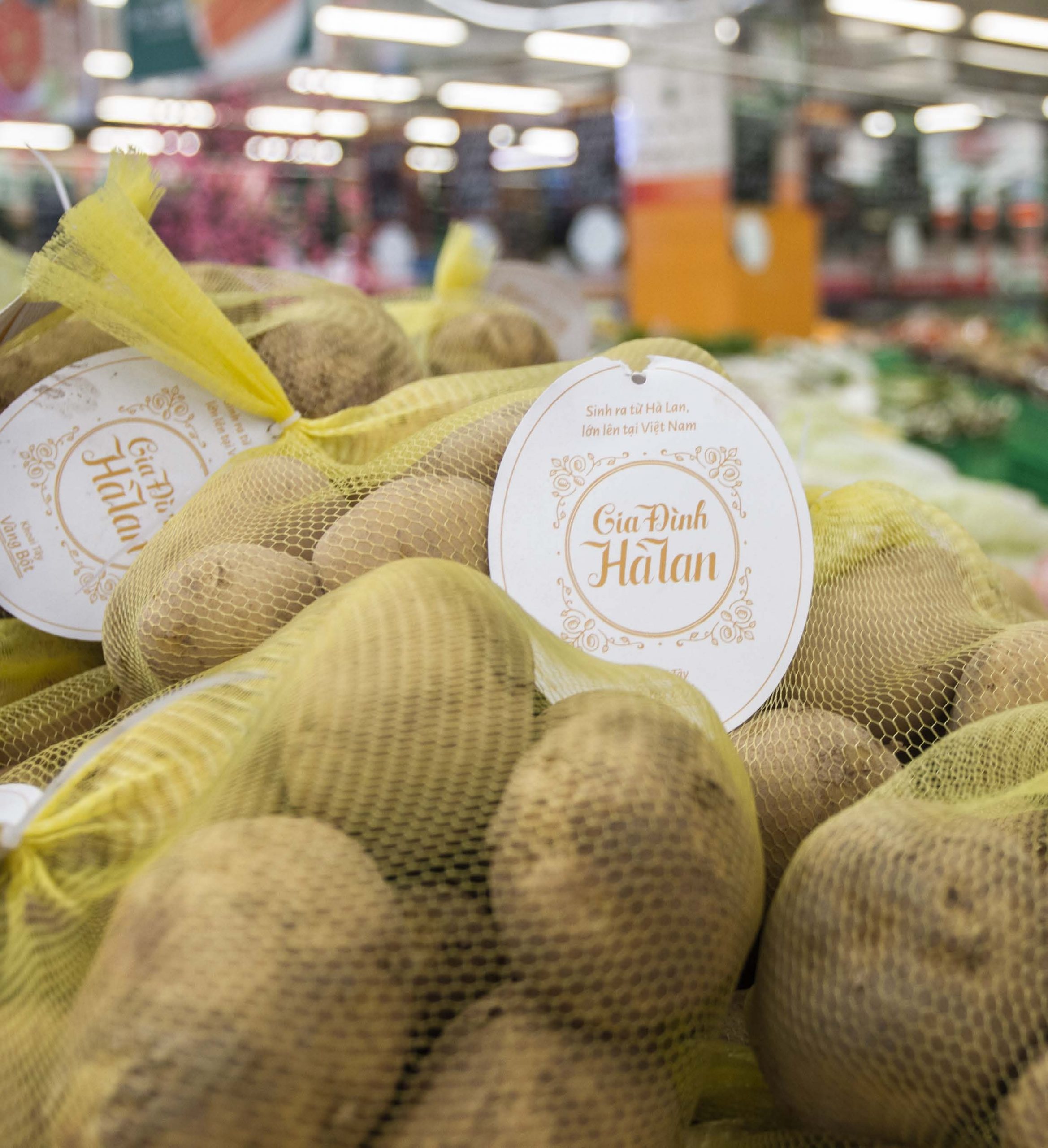 Gia Đình Hà Lan potato brand launched in major supermarket, wholesale markets and canteens in Vietnam.