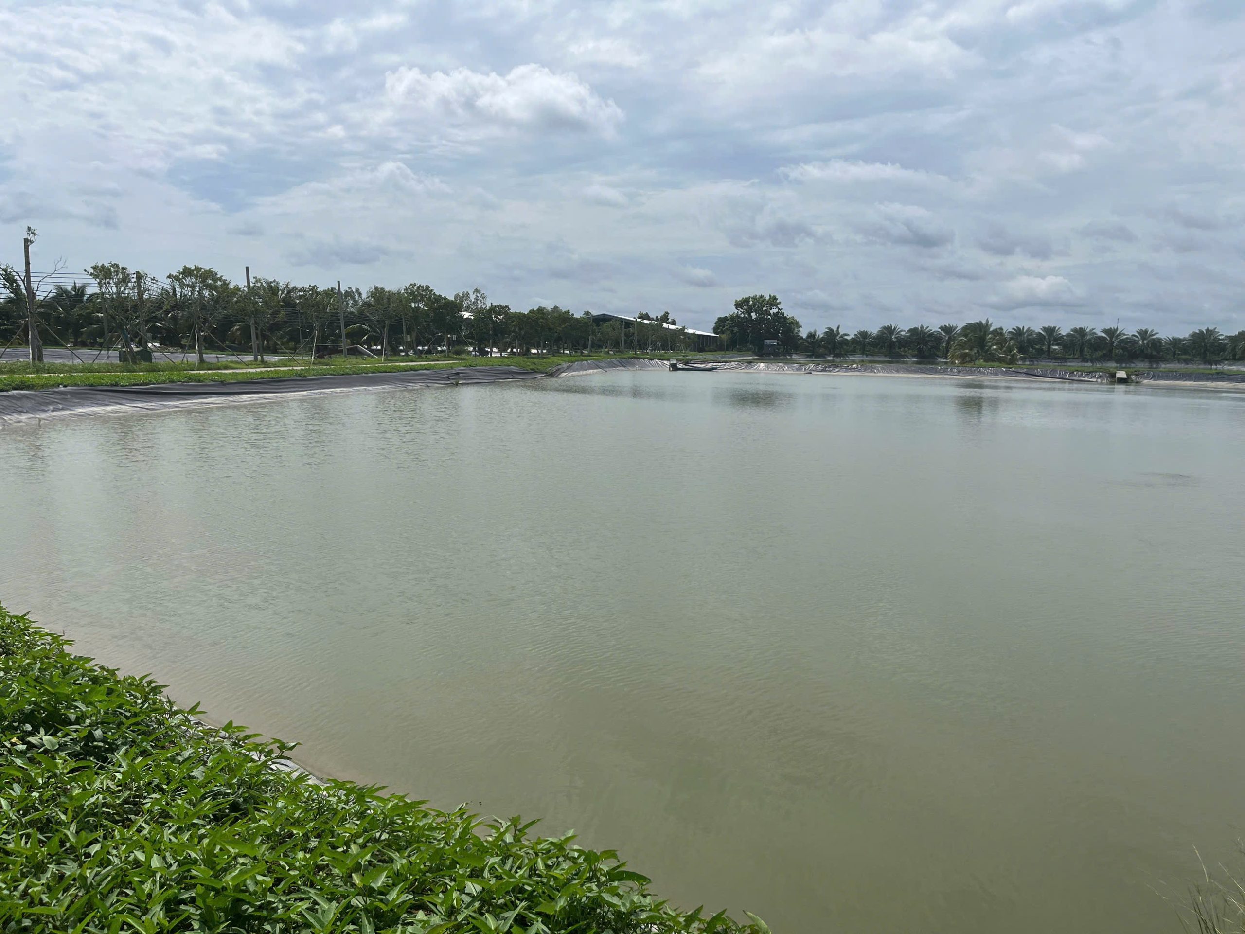 DeltaVax: Pioneering Sustainable Aquaculture in the Mekong Delta