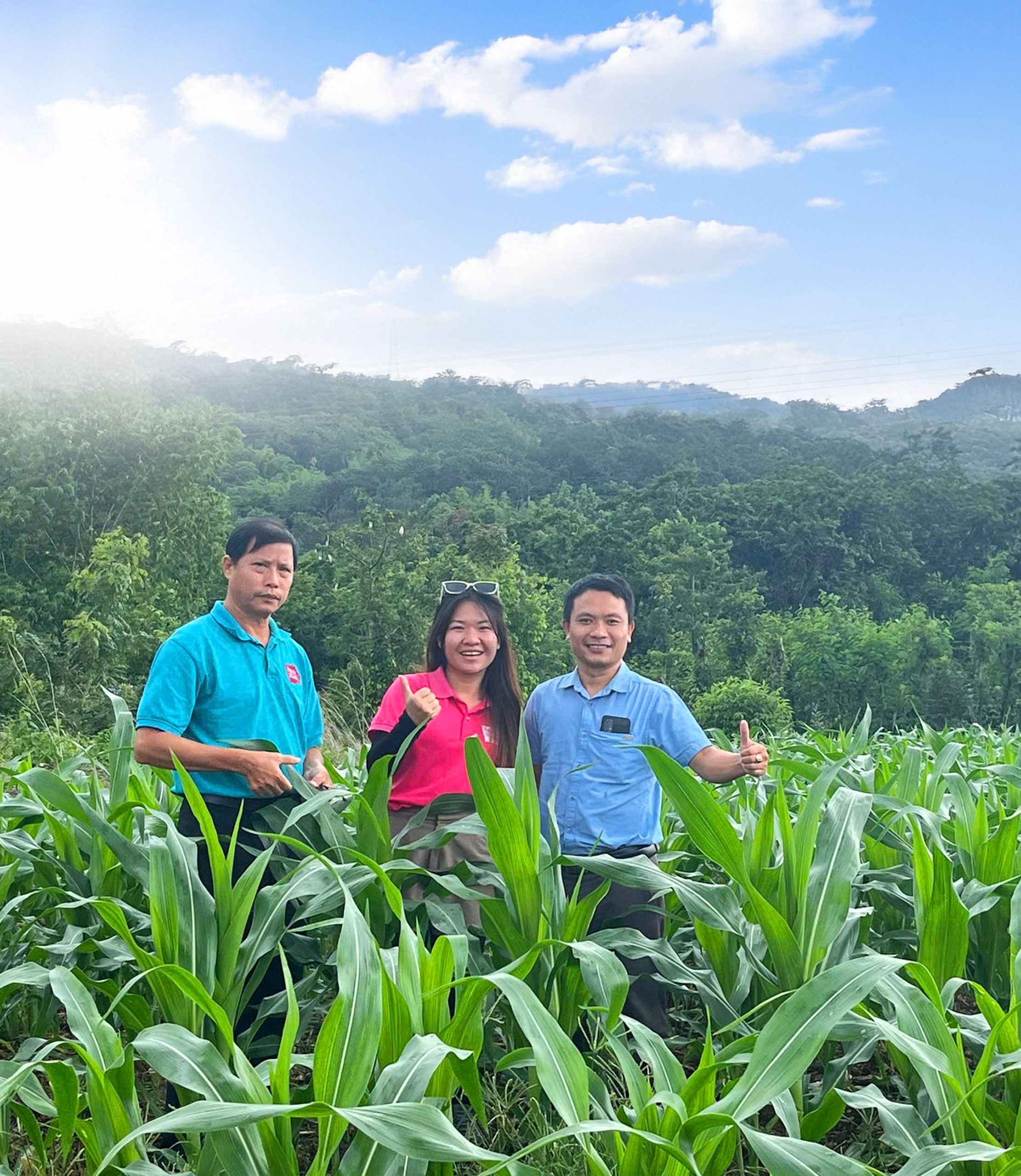 Project Manager for Value Chain Development